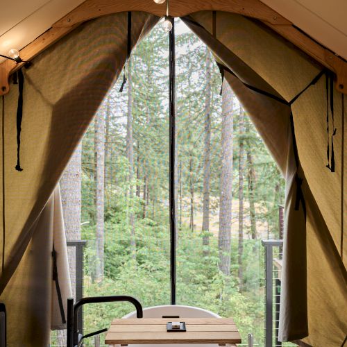 A bathtub inside a luxury tent with a view of trees outside, lit by string lights above.