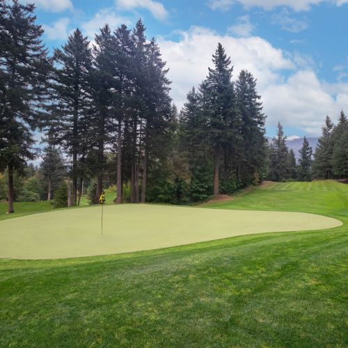 A golf course with a putting green, surrounded by tall trees and lush grass under a partly cloudy sky.