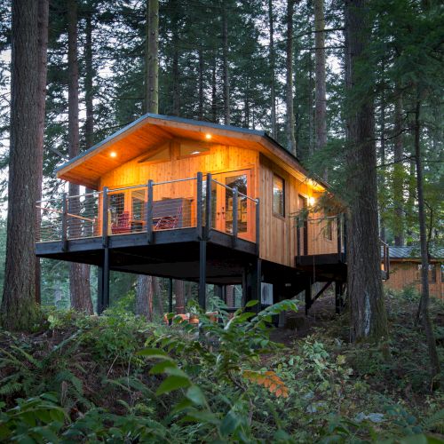A cozy, elevated wooden cabin in the forest, with warm lights glowing, surrounded by tall trees and lush greenery.