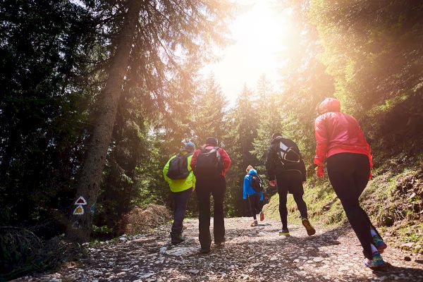 A group of people wearing colorful outdoor gear are hiking on a forest trail, with sunlight filtering through the trees.