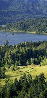 A scenic view of a forested area with a river, a bridge, and a large building surrounded by trees, set against a mountainous backdrop.