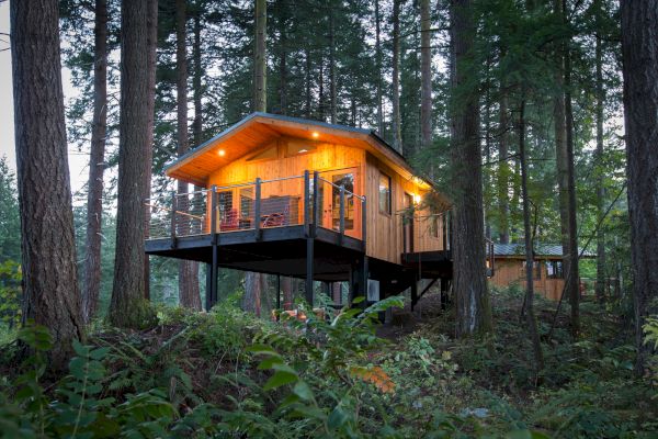 A wooden cabin elevated on stilts stands amidst tall trees in a forest, with warm lights glowing, creating a cozy and inviting atmosphere.