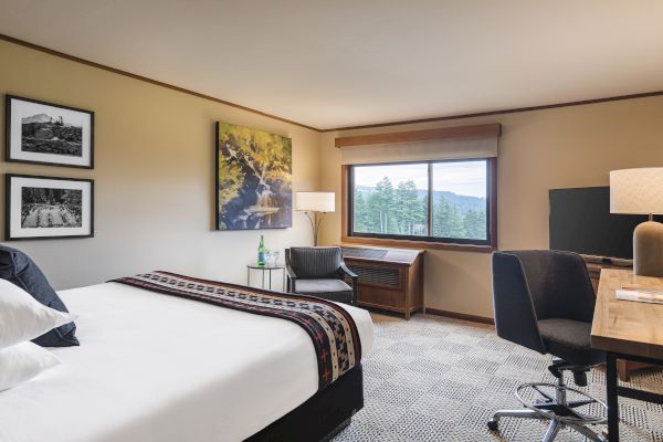 A cozy hotel room with a large bed, desk, lamp, TV, artwork, and window view of trees. A bottle and glass sit on a small table.