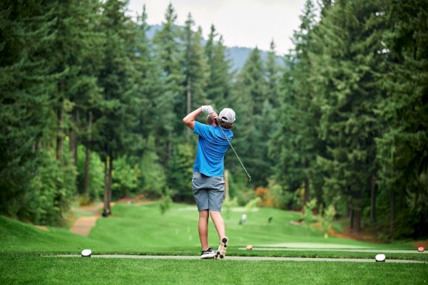 A golfer in a blue shirt and shorts swings on a lush golf course surrounded by tall trees, aiming toward the fairway.