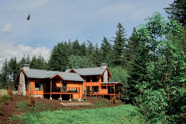 A wooden house with a metal roof is nestled among lush green trees, with a bird soaring in the clear blue sky above.
