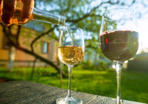 A person pours white wine into a glass beside another glass containing red wine, set on a table outdoors in a garden.