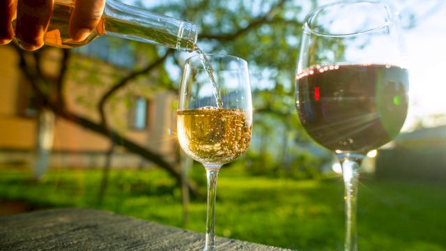 A person pours white wine into a glass beside another glass containing red wine, set on a table outdoors in a garden.