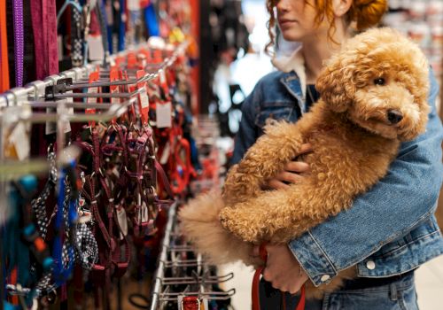 A person is holding a fluffy dog while looking at various pet collars and leashes on display in a store.