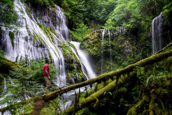 A person in red stands near a lush, green forest with multiple cascading waterfalls, surrounded by moss-covered rocks and trees.