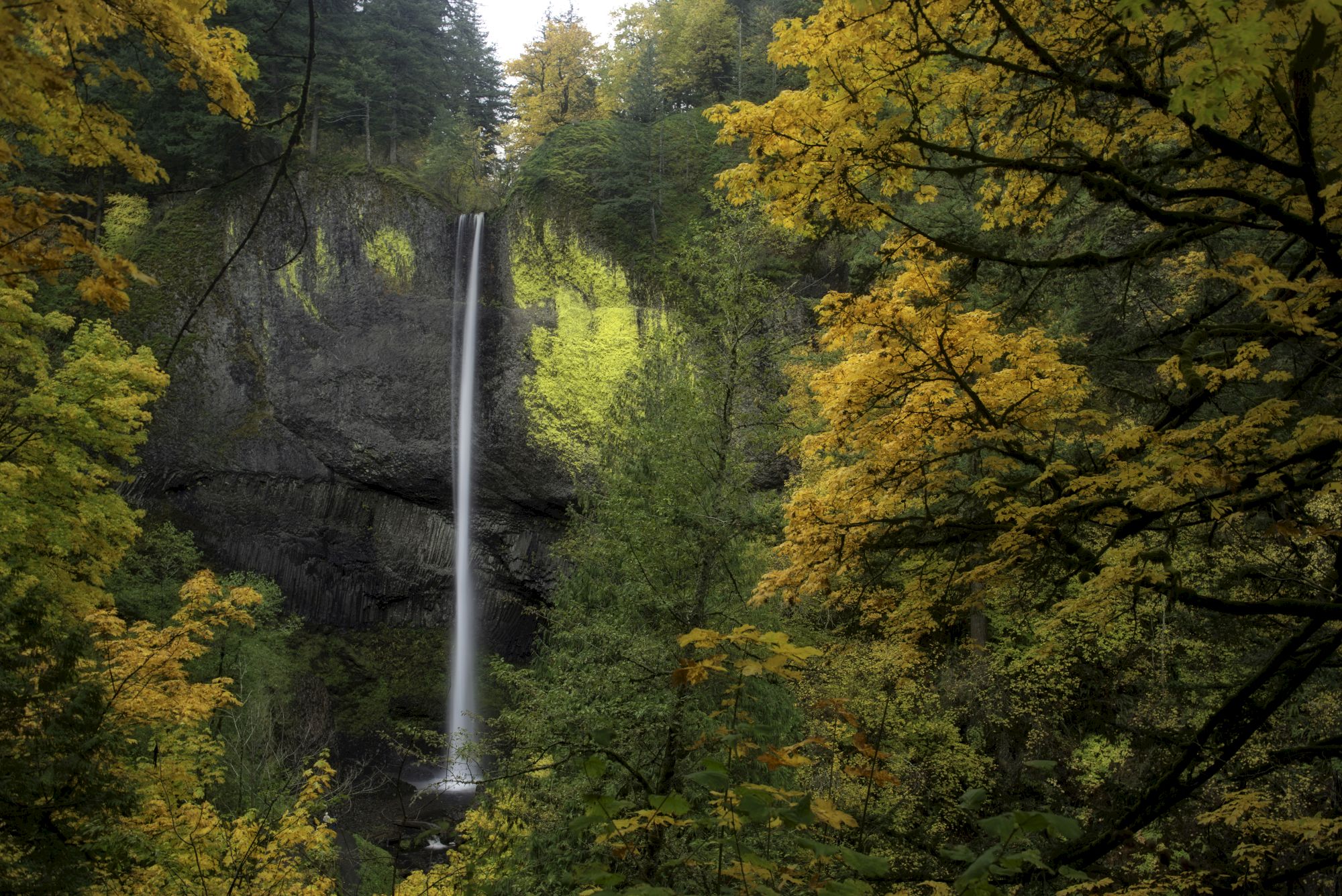 A tall waterfall cascades down a rocky cliff surrounded by lush green and yellow foliage, creating a serene natural scene.