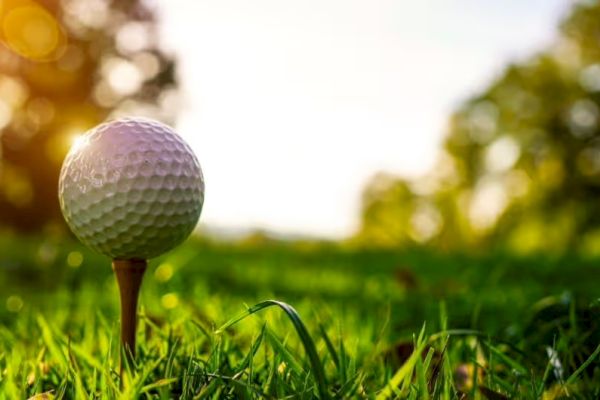 A golf ball on a tee in a grassy field with sunlight filtering through trees in the background.