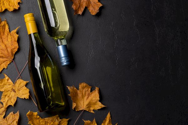 Two wine bottles with yellow and blue caps lie on a dark surface surrounded by autumn leaves.