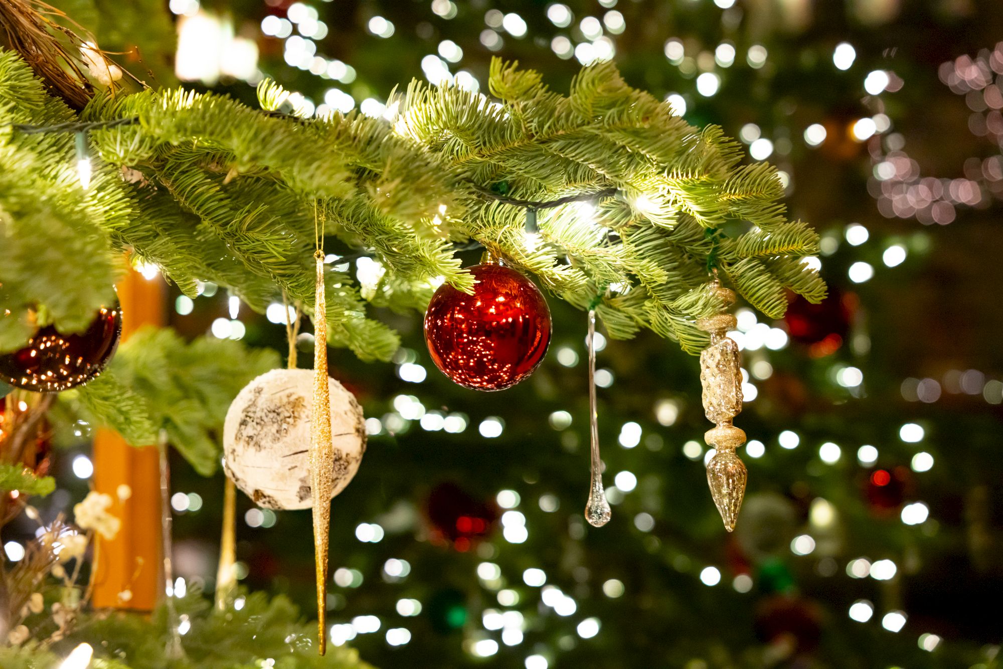 A decorated Christmas tree branch with a red ornament, white bauble, and icicle, surrounded by twinkling lights.